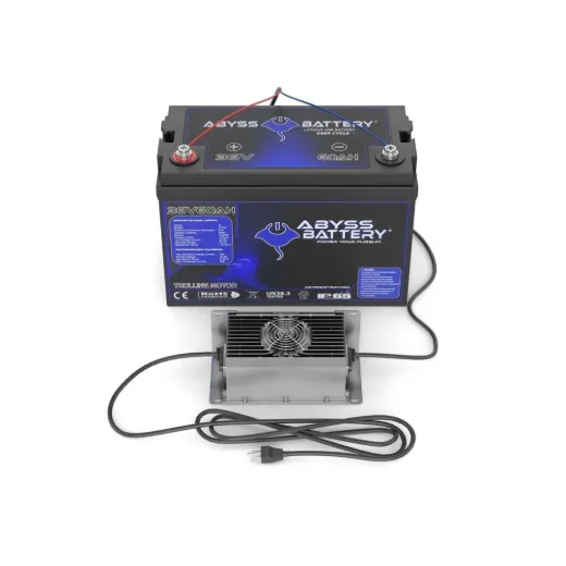 Picture for category Batteries and Chargers