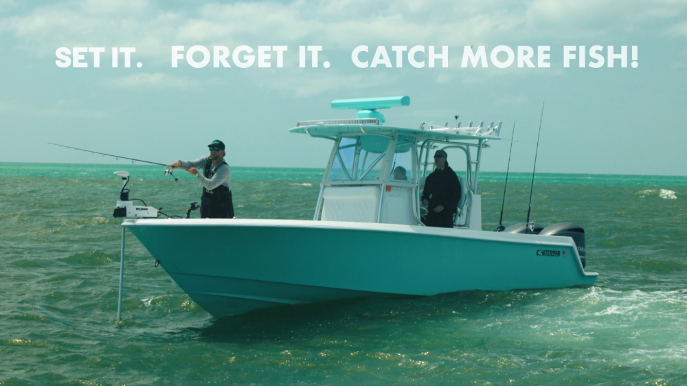 Made in Sarasota